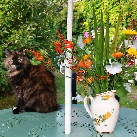 La Maison De L'ousse 3* Livron