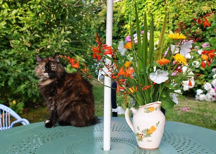 La Maison De L'ousse 3* Livron