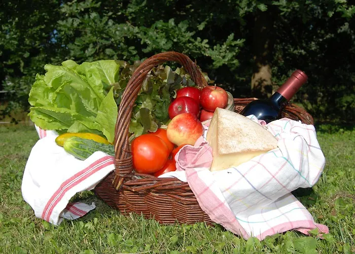 La Maison De L'ousse Livron